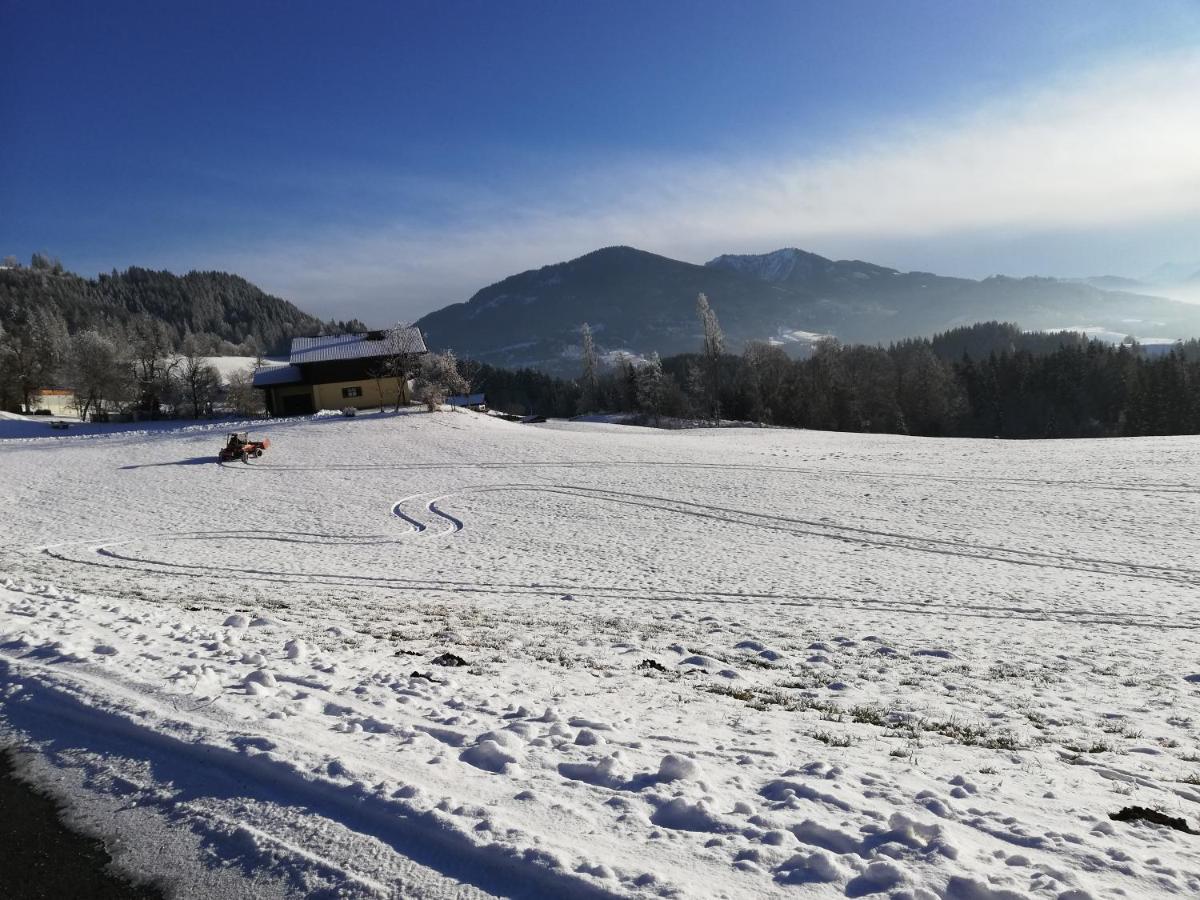 Appartement Steinerhof ヴェルフェンヴェンク エクステリア 写真