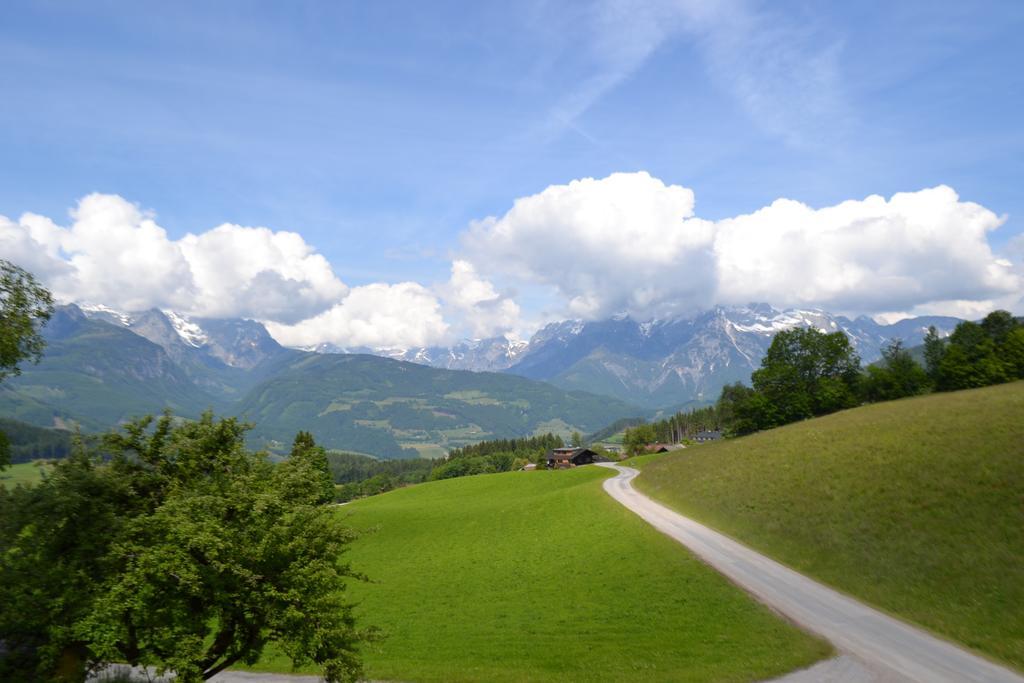 Appartement Steinerhof ヴェルフェンヴェンク エクステリア 写真