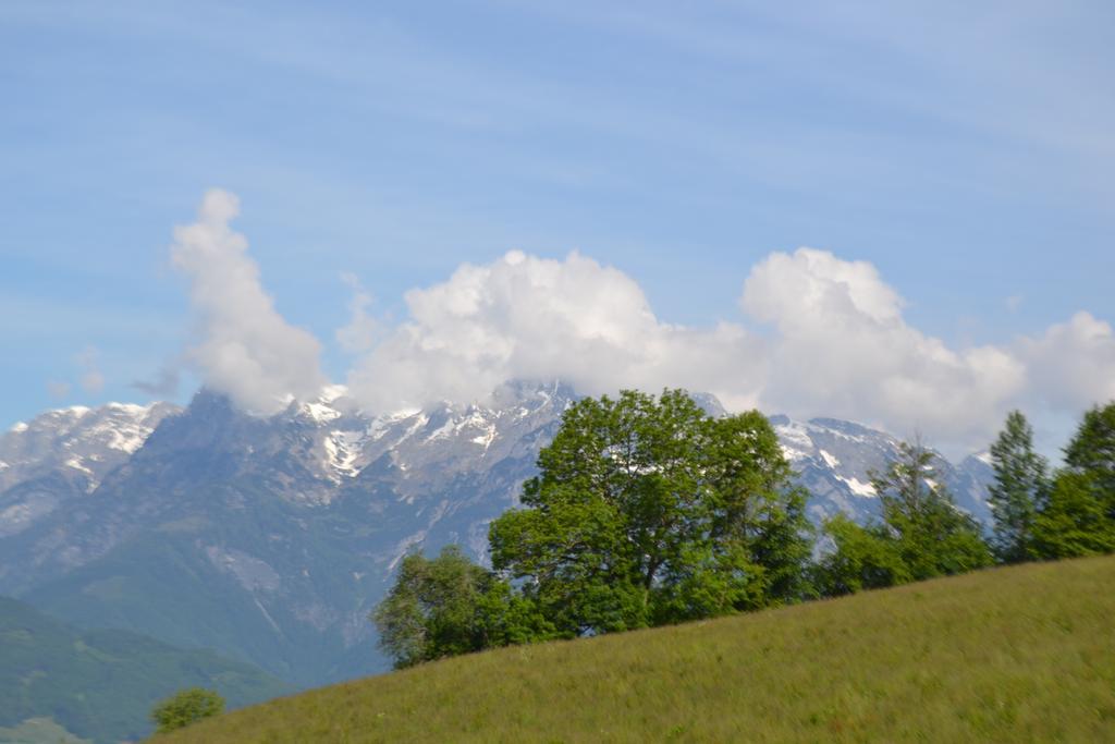 Appartement Steinerhof ヴェルフェンヴェンク エクステリア 写真