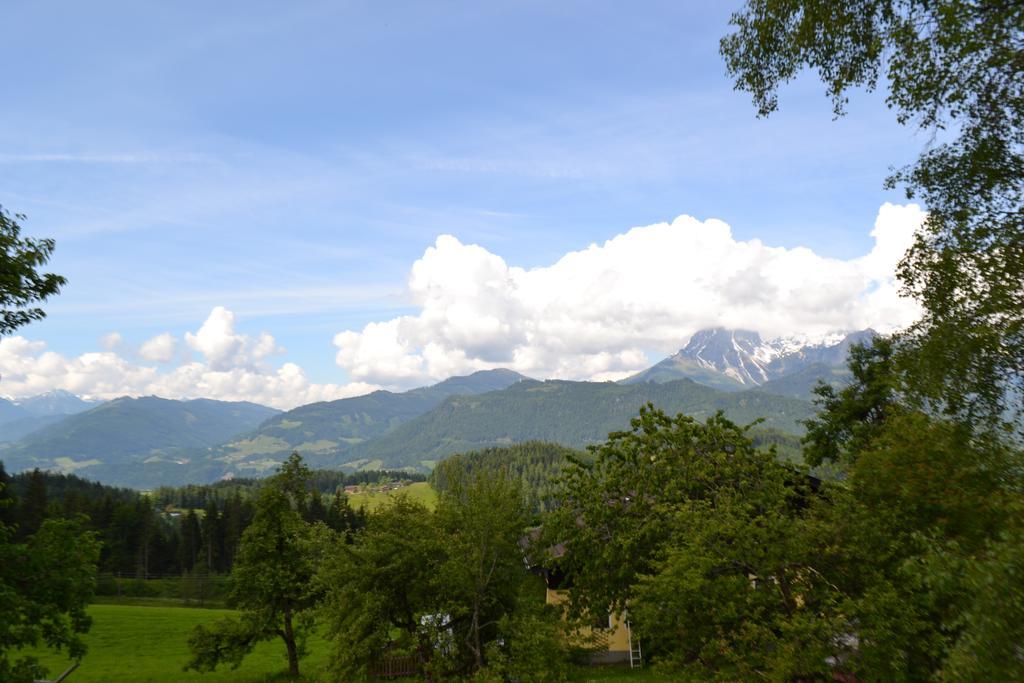 Appartement Steinerhof ヴェルフェンヴェンク エクステリア 写真